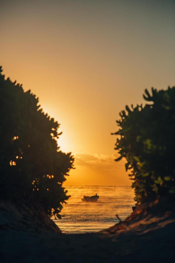 Glamp Ikal Tulum Hotel ภายนอก รูปภาพ